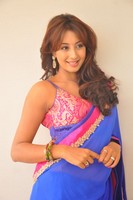 Sanjana Spicy Saree Photos